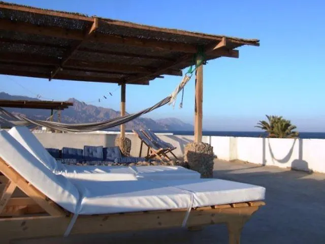 Sea Stars Apartment